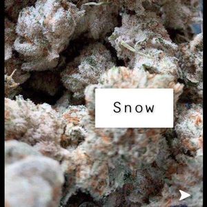 Meet your Posher, Joseph